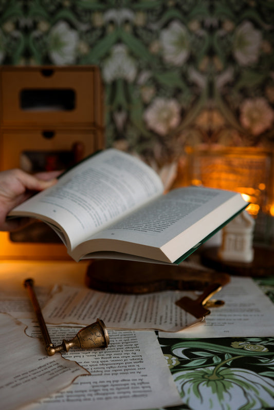 Bookwyrm: A Curated Book Lover’s Gift Box